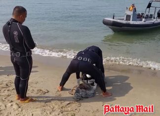 Sea turtle found dead after stranding on Pattaya Beach