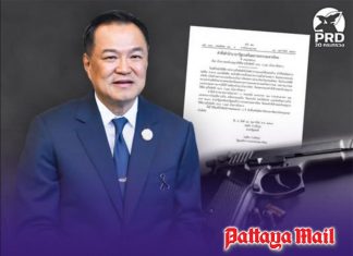 Thailand orders one-year freeze on firearm carry permits after public gun incidents