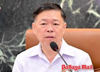 Deadly rabies case confirmed in Rayong as Thai authorities urge immediate action after animal bites