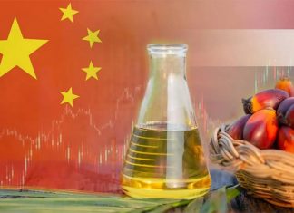 Thai palm oil gains strong ground in China with 85% export surge