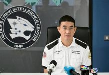 Illegal roads, fallen timber, and a former chief under fire in Mae Hong Son forest scandal