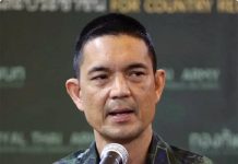 Royal Thai Army monitors forest fires across border, says no impact on security