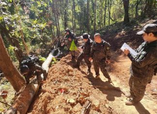 Suchart orders urgent probe into alleged illegal logging in Mae Yuam Fang Khwa Sanctuary