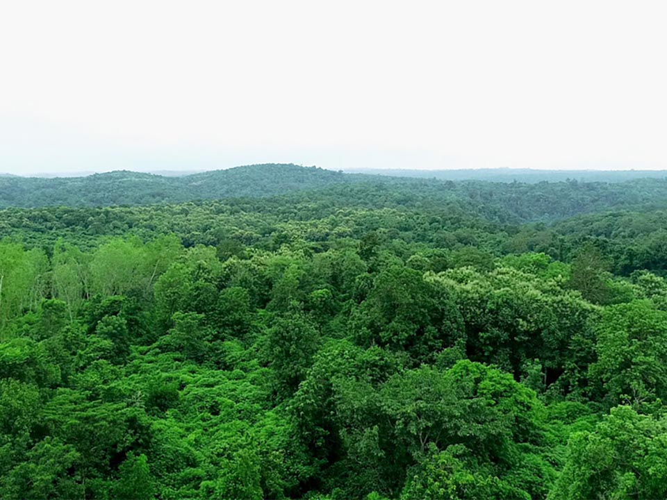 Cabinet approves ‘Forests for Life’ project to protect Thailand’s key tropical forest landscapes