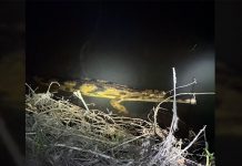 Rare False Gharial confirmed in southern Thailand, signaling recovery of Tak Bai wetlands