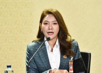 49 cases of ‘deafness fever’ reported nationwide, health officials warn against raw pork