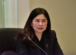 DFT unveils 2026 roadmap to expand Thai cassava exports into Japan’s high-value industries