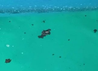 Full-force efforts launched to contain oil spill threatening Racha Islands off Phuket