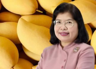DIP names Thailand’s top five high-value GI mangoes worth over 1 billion baht