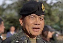 Second Army orders tech-driven surveillance to monitor border wildfires