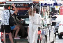 Sicherheitsbedenken bei Baht-Bussen nach Unfall mit deutschem Touristen