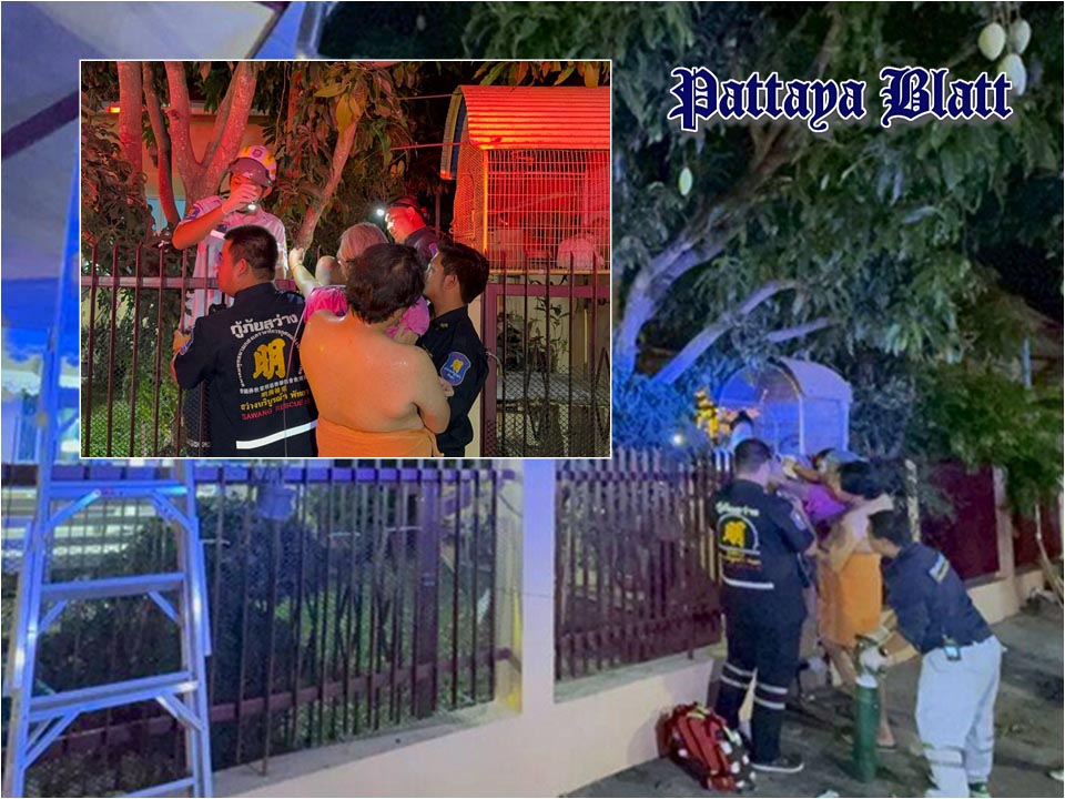 Mangoernte endet im Horror: Frau in Pattaya auf Eisenzaun aufgespießtPattaya Blatt