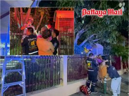 Horror fall in Pattaya as woman impaled on iron fence while picking mangoes