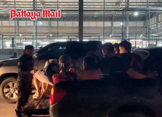 Pattaya Immigration arrests 146 illegal foreign workers, revokes 250 visas