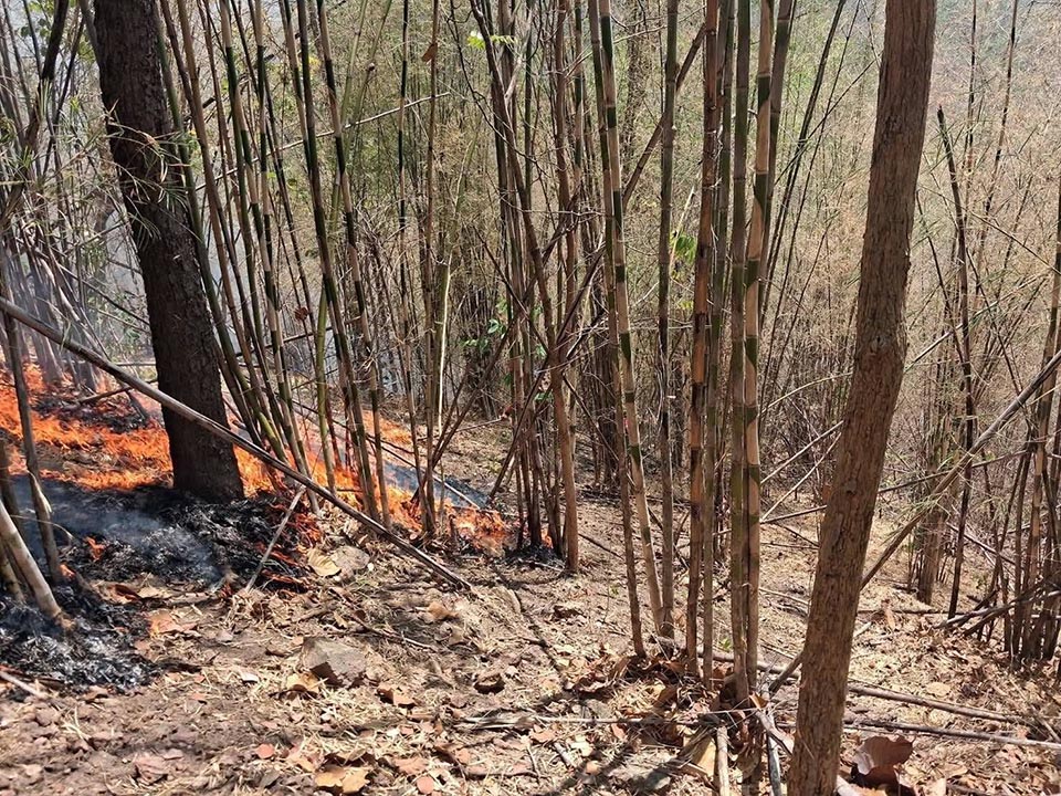 Chiang Mai tops global pollution rankings as smog from forest fires pushes PM2.5 to hazardous levels