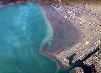 Major shippers halt oil and LNG transit through Strait of Hormuz after Iran closure