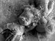 Chernobyl: 40 years after – children played in poison and no one warned them