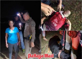 Dog walk dispute in Sattahip ends in Polish tourist stabbing as woman surrenders after standoff