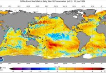 From the Pacific to Thailand rising signals of one of the hottest periods on record ahead