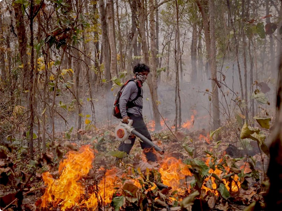 Mirror Foundation calls for volunteers as northern wildfires strain air quality