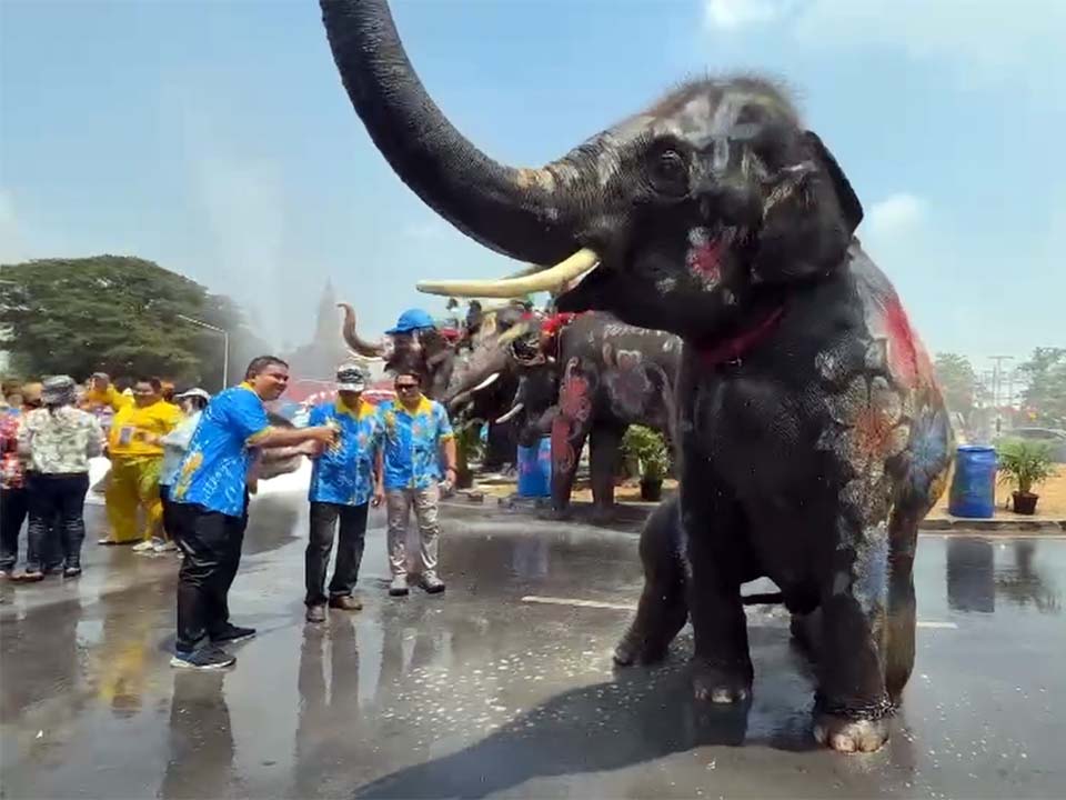 Elephants lead grand Songkran celebrations in Ayutthaya’s historic streets