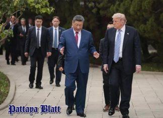 Bambus-Dialektik in Zhongnanhai prägt neue sino-amerikanische Beziehungen