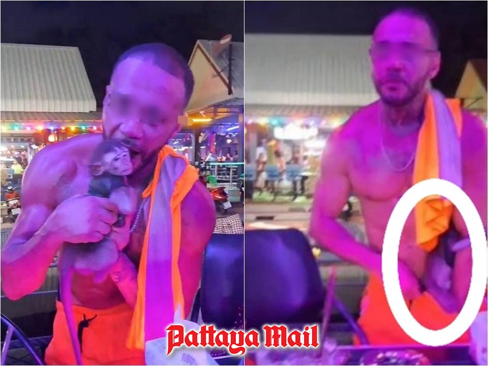 Outrage in Pattaya after foreigner allegedly abuses baby monkey at Jomtien bars