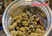 Thailand new cannabis rules lock down access to hospitals and licensed herbal shops