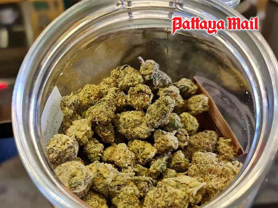 Thailand new cannabis rules lock down access to hospitals and licensed herbal shops