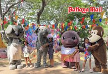 Khao Kheow Open Zoo marks 48th anniversary with free entry for children and seniors