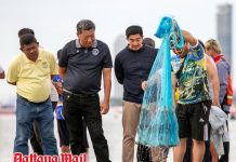 Pattaya watches its waters as invasive blackchin tilapia threat raises coastal concerns