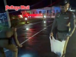 Indian tourists lose sleep as hundreds of toads invade Krabi resort after heavy rain