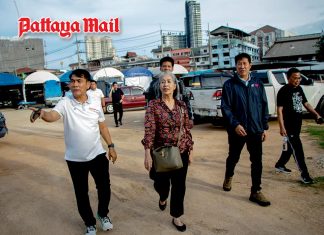 Pattaya residents warn homeless and stray animal problems are hurting tourism image