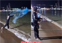 Blackchin tilapia still found along Pattaya Beach as locals urge urgent action