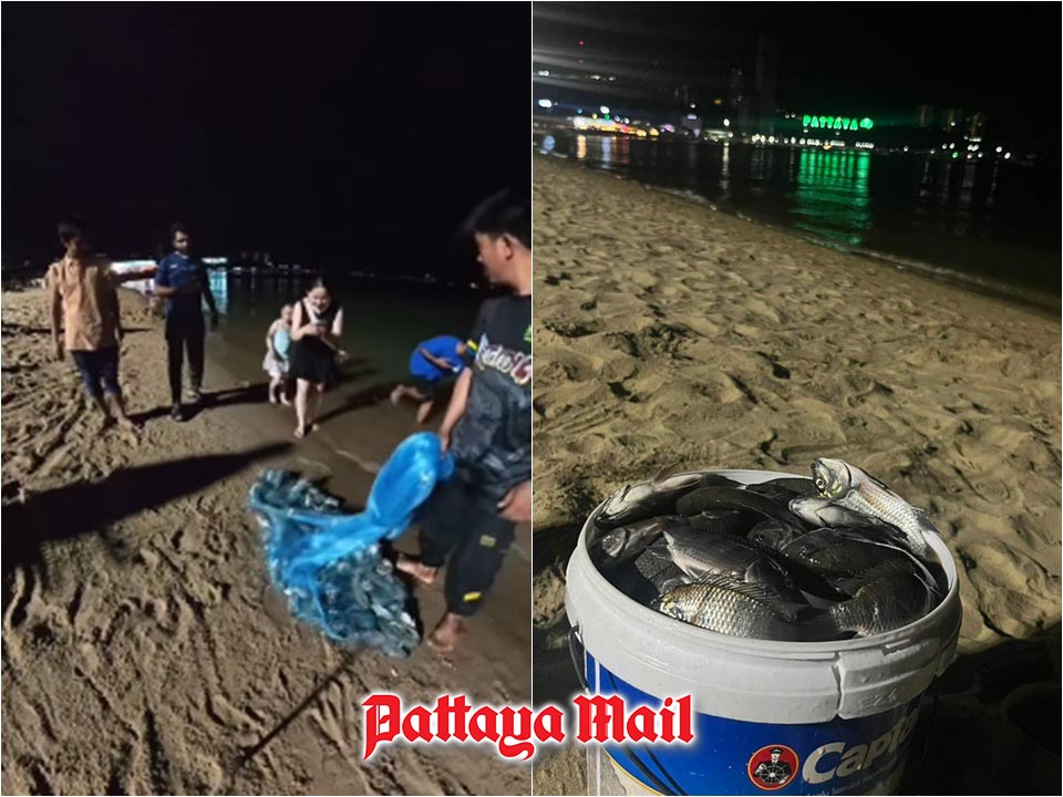 Pattaya angler sounds alarm after hauling invasive fish along local shores