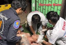 Вооружённая банда тяжело ранила арендодателя и племянника в Паттайе