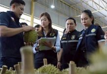 Thai officials seize 50,000kg of durian from illegal Chanthaburi processing plant