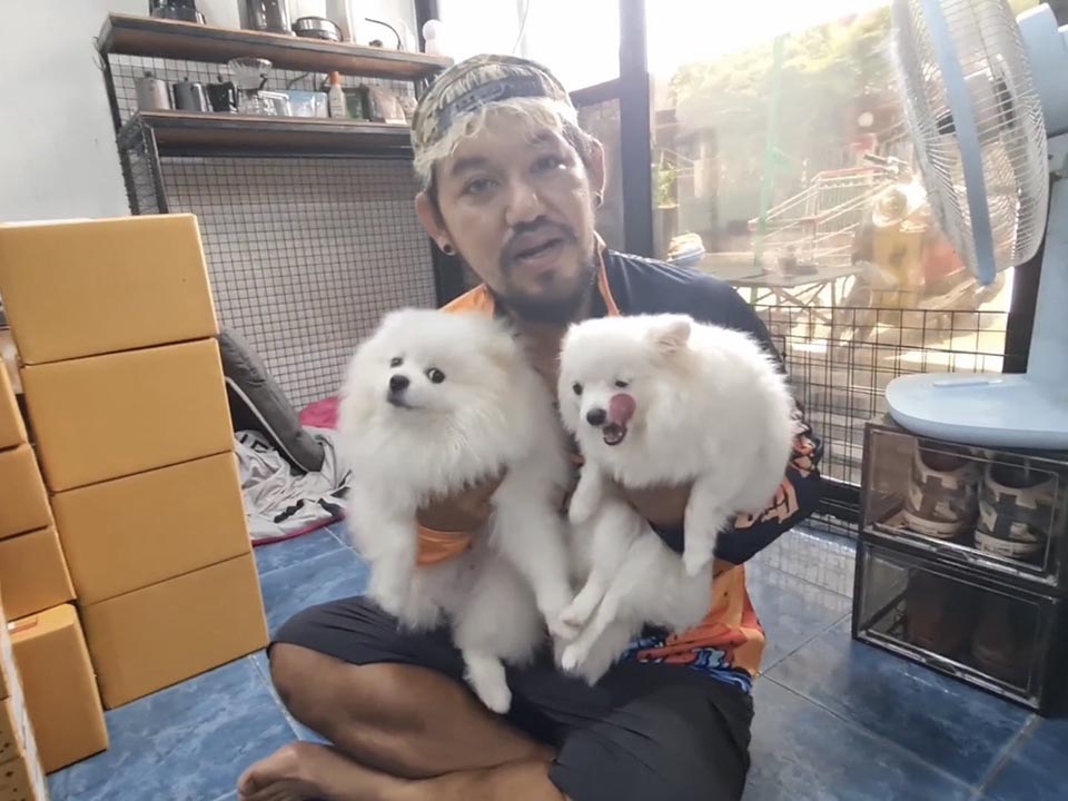 Thai Pomeranians undergo surgery after swallowing gold necklace