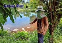 Fischfarm in Pattaya durch Abwasserüberflutung schwer beschädigt
