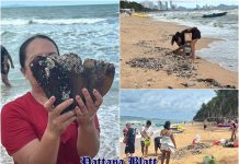 Muschelsegen am Jomtien Beach: Starke Wellen spülen große Mengen Schalentiere an Land