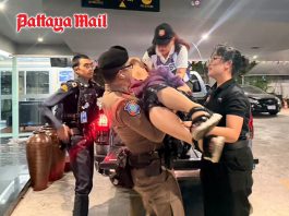 Tourist police help intoxicated Japanese visitor safely return to hotel