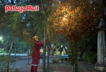 Pattaya firefighters safely remove wasp nest at local school