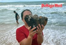 Massive shellfish haul as waves wash mussels and clams ashore at Jomtien Beach