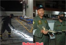 Pattaya resident horrified by cobra display until truth emerges