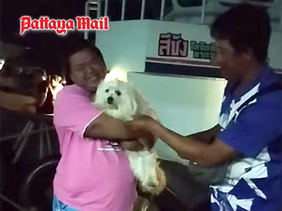 Rescued dog reunited with owner after sea ordeal off Koh Sichang