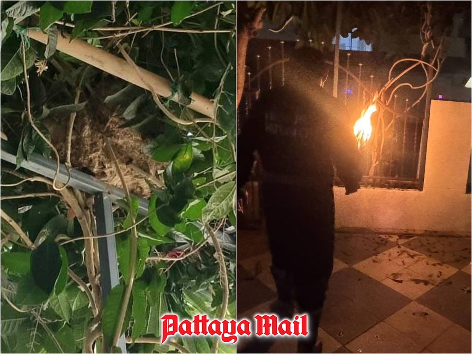Pattaya firefighters remove beehive and wasp nest from condo and home