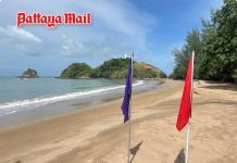 Deadly Portuguese man-of-war found in Krabi, beaches closed