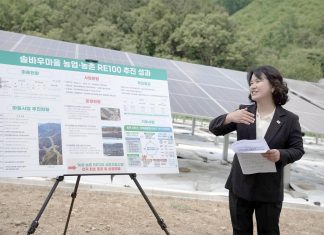 South Korea’s RE100 villages power rural communities with clean energy