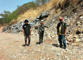 Forest encroachment probe ordered in Pak Chong road case