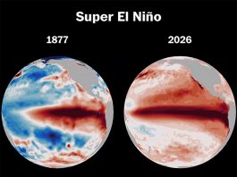 Thailand braces for possible Super El Niño as PM orders urgent readiness plans